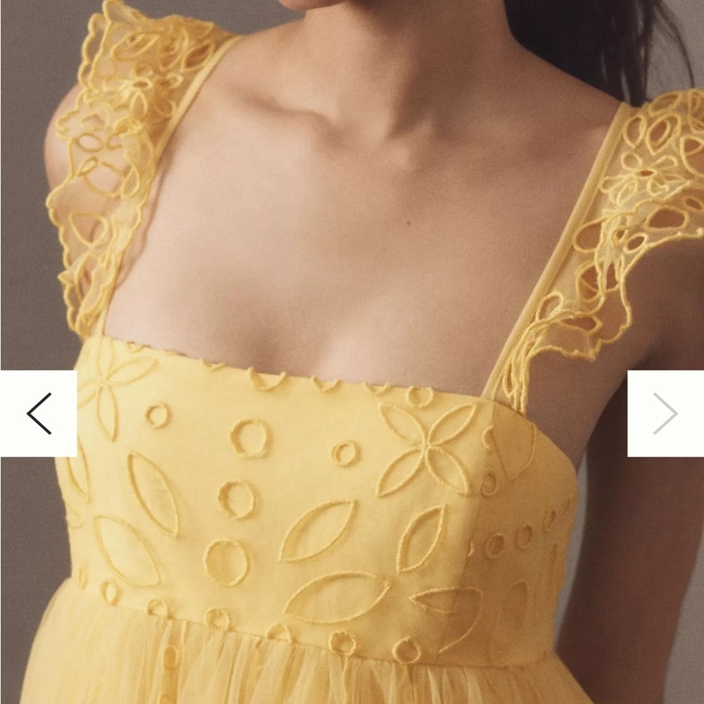 Anthropologie Let Me Be Eyelet Tulle Mini Dress - Picture 4 of 5